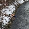 crosslauf 2016 14
